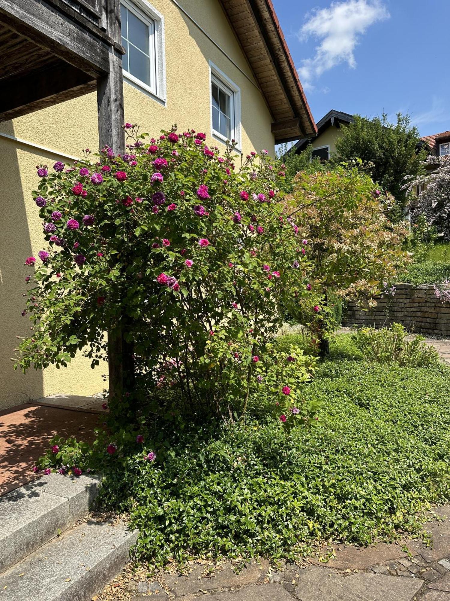 Meywohnen Bad Endorf Apartment Exterior foto